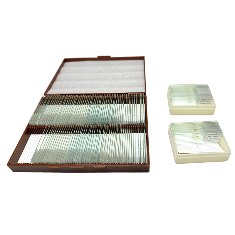 Kit Pendidikan Biologi Slide Mikroskop, Sifat Biologi